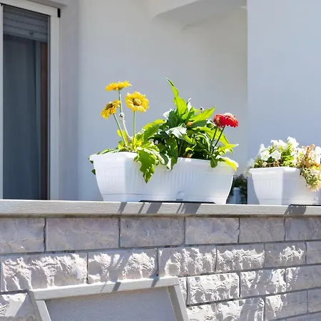 ベッド・アンド・ブレックファスト Vele D'otranto